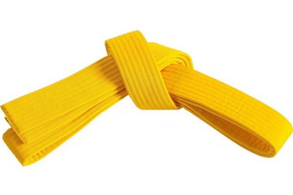 Lean-Six-Sigma-Yellow-Belt-Training-and-Certification-Maximum-Potential