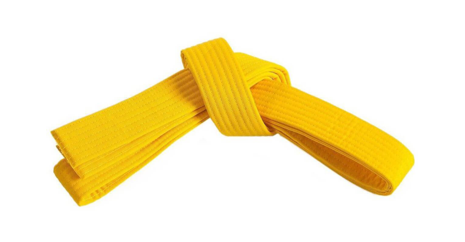 Lean-Six-Sigma-Yellow-Belt-Training-and-Certification-Maximum-Potential